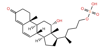 3-Keto-12a-hydroxy-4,6-cholandiene-24-sulfate